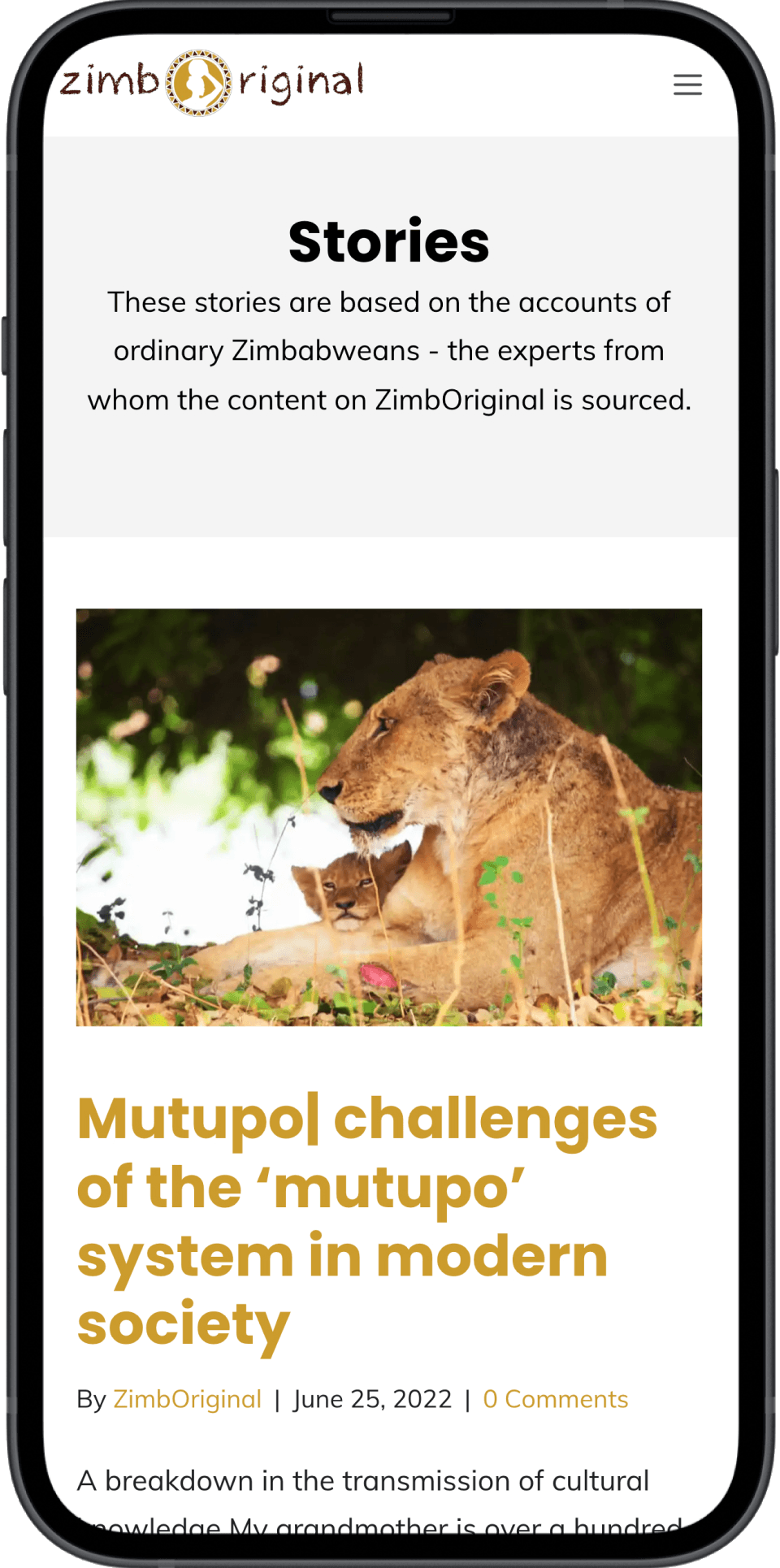 Zimboriginal article page on mobile